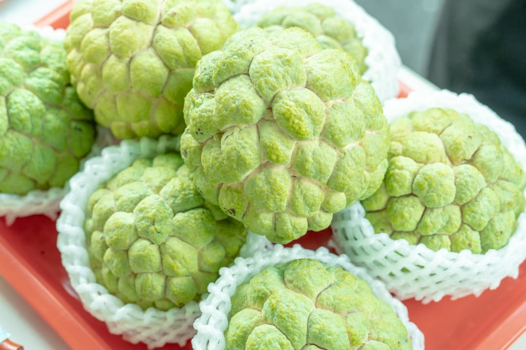 Custard Apple