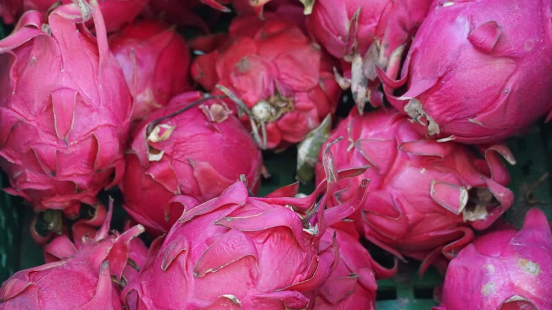 Dragon Fruit