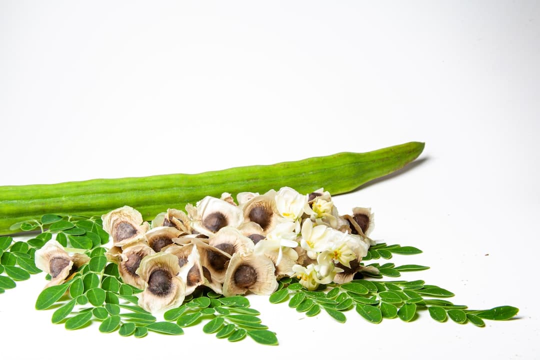 Drumstick / Moringa
