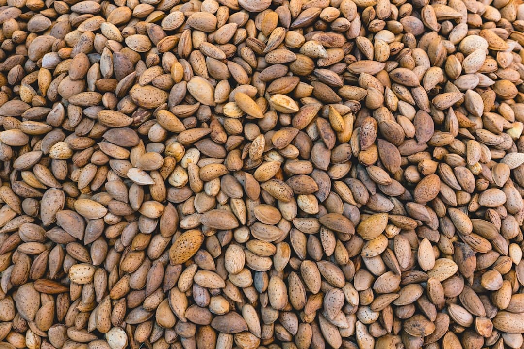 Pine Nuts