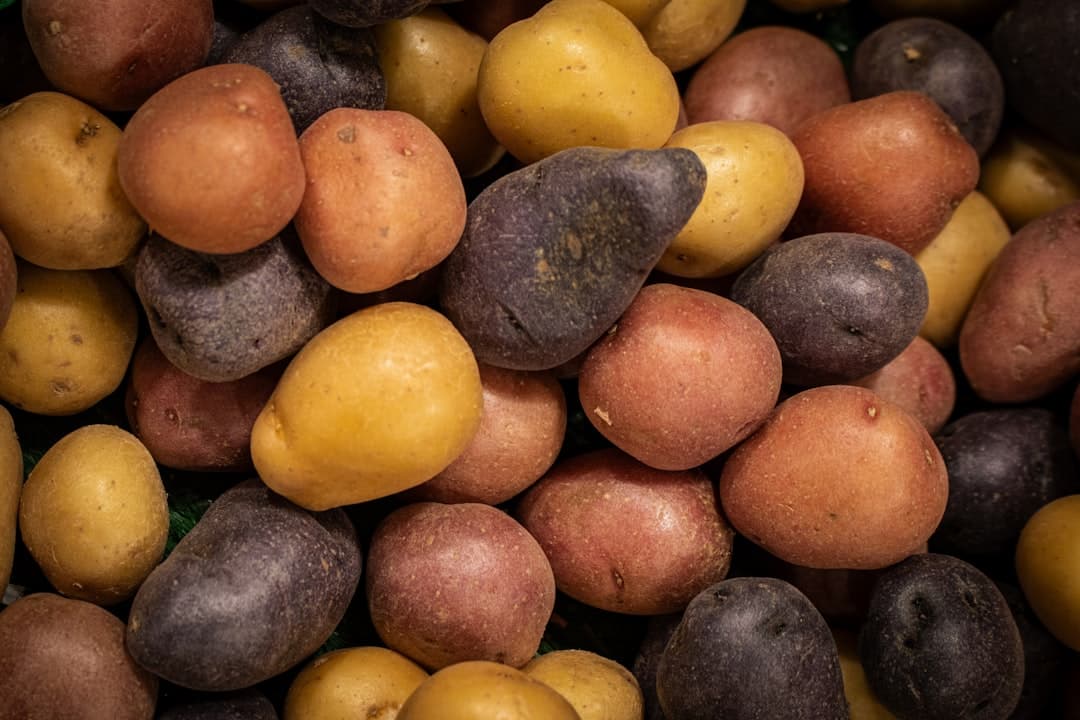 Potato