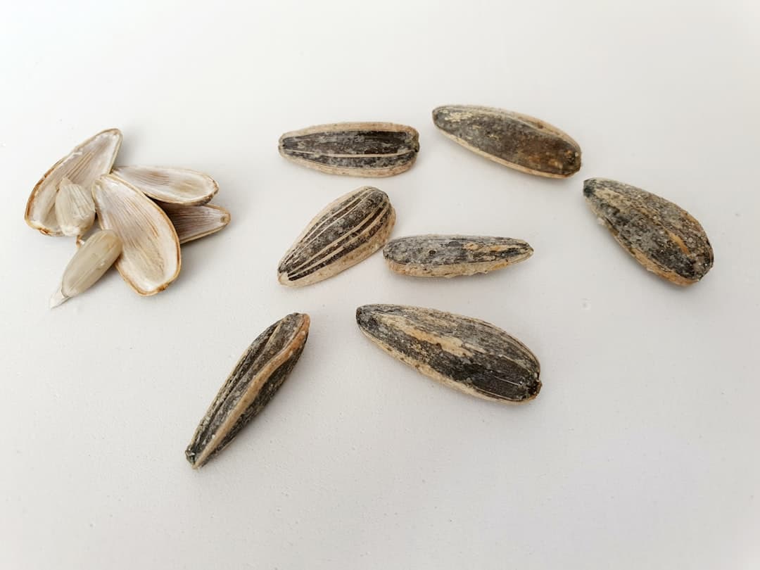 Sunflower Seeds